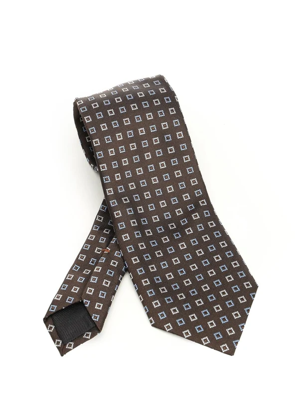Ermenegildo Zegna Brown Neck Ties